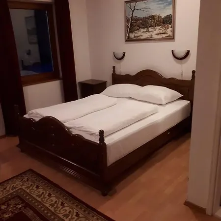 Hotel Hotel Vlasic 3*