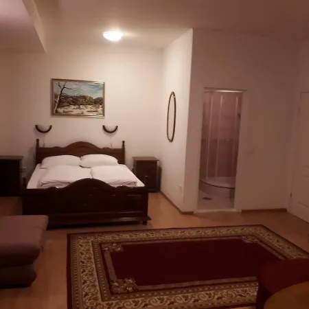 Hotel Vlasic Hotel Vlasic